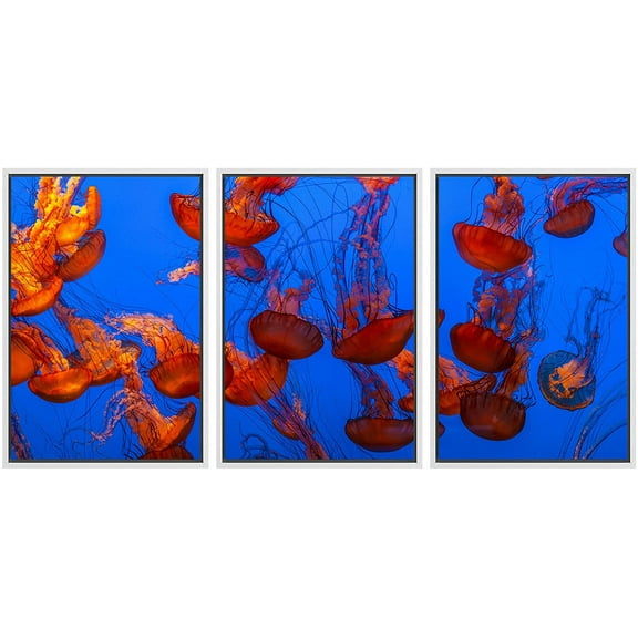 wall26 Framed Canvas Print Wall Art Set Rainbow Coral Reef Turtle Fish Ecosystem Nature Animals Photography Realism Rustic Landscape Colorful for Living Room, Bedroom, Office - 16"x24"x3 WH