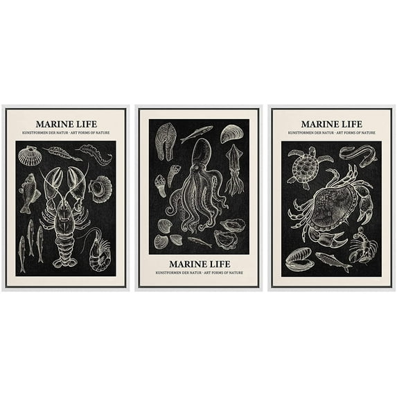 wall26 Framed Canvas Print Wall Art Set Retro Ocean Lobster Octopus Crab Posters Nature Animals Illustrations Realism Rustic Landscape Colorful for Living Room, Bedroom, Office - 24"x36"x3