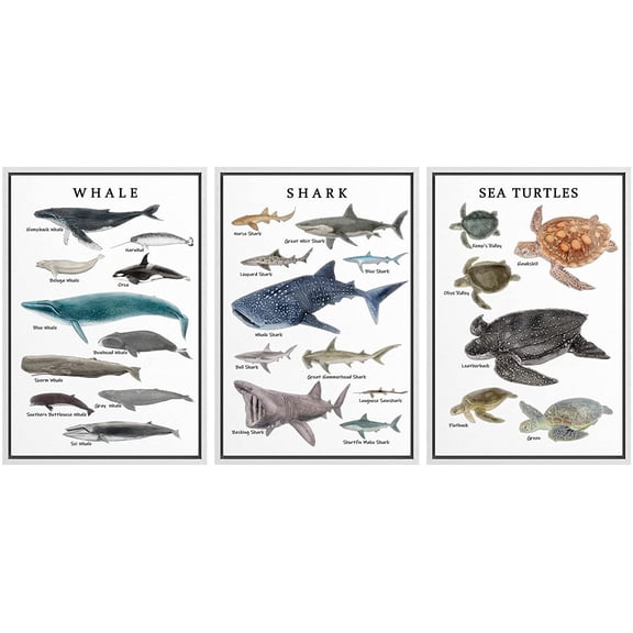 wall26 Framed Canvas Print Wall Art Set Retro Ocean Sea Whale Shark Turtle Posters Nature Animals Illustrations Realism Rustic Landscape Colorful for Living Room, Bedroom, Office - 24"x36"x
