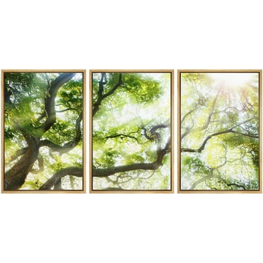 wall26 Framed Canvas Print Wall Art Set Sunlight Shines Over Green Tree Canopy Nature Wilderness Photography Realism Rustic Scenic Colorful for Living Room, Bedroom, Office - 16&quot;x24&quot;x3 Natu