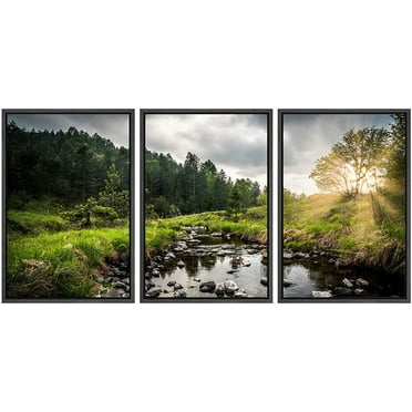 wall26 Framed Canvas Print Wall Art Set Sunlight Storm Cloud Forest Tree Pond Nature Wilderness Photography Realism Rustic Landscape Colorful for Living Room, Bedroom, Office - 24&quot;x36&quot;x3 Bl