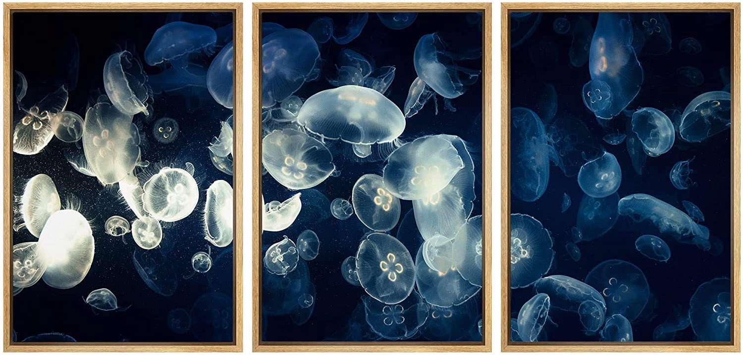 wall26 Framed Canvas Print Wall Art Set Transparent X-Ray Tropical ...