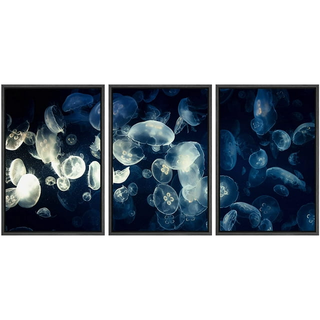 wall26 Framed Canvas Print Wall Art Set Transparent X-Ray Tropical Ocean Jellyfish Nature Animals Photography Realism Rustic Landscape Colorful for Living Room, Bedroom, Office - 16&quot;x24&quot;x3
