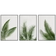 thumbnail image 1 of wall26 Framed Canvas Print Wall Art Set Tropical Jungle Palm Leaf Collage Nature Floral Digital Art Modern Art Rustic Botanical Relax/Calm for Living Room, Bedroom, Office - 16"x24"x3 WHITE, 1 of 5
