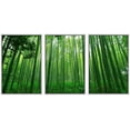 thumbnail image 1 of wall26 Framed Canvas Print Wall Art Set Underneath The Green Bamboo Stalks Nature Wilderness Photography Realism Contemporary Colorful Ultra for Living Room, Bedroom, Office - 16"x24"x3 Whi, 1 of 5