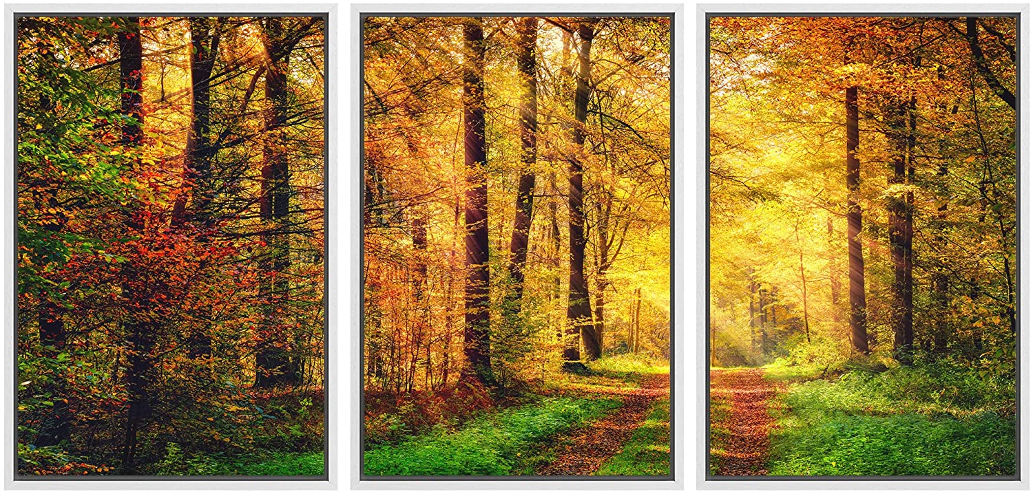 wall26 Framed Canvas Print Wall Art Set Vibrant Autumn Fall Sunlight ...