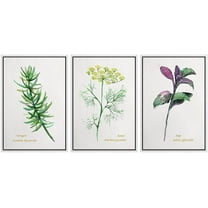 wall26 Framed Canvas Print Wall Art Set Vibrant Pastel Herbal Forest Flowers Nature Wilderness Illustrations Modern Art Bohemian Decorative Rustic for Living Room, Bedroom, Office - 16"x24"
