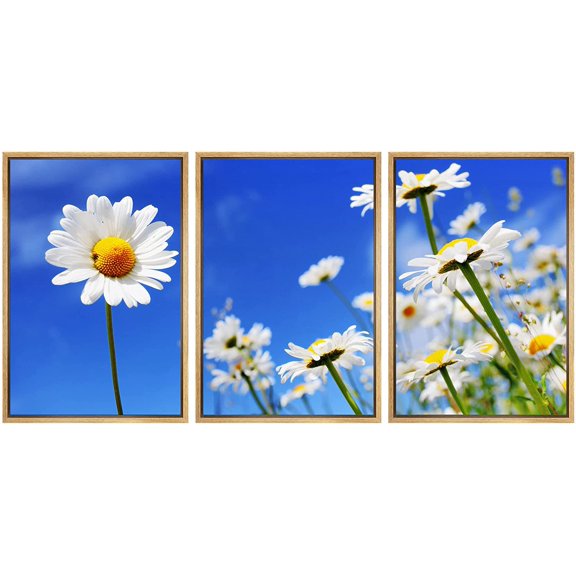 wall26 Framed Canvas Print Wall Art Set Vibrant Summer Field & Sky with Daisies Nature Wilderness Photography Realism Chic Scenic Relax/Calm for Living Room, Bedroom, Office - 16"x24"x3