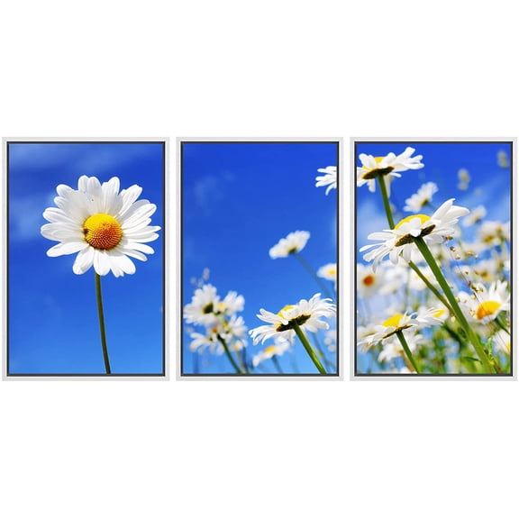 wall26 Framed Canvas Print Wall Art Set Vibrant Summer Field & Sky with Daisies Nature Wilderness Photography Realism Chic Scenic Relax/Calm for Living Room, Bedroom, Office - 16"x24"x3