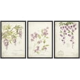 thumbnail image 1 of wall26 Framed Canvas Print Wall Art Set Victorian Style Purple Hanging Flowers Nature Floral Illustrations Realism Rustic Scenic Colorful Wilderness for Living Room, Bedroom, Office - 24"x36&quo, 1 of 5
