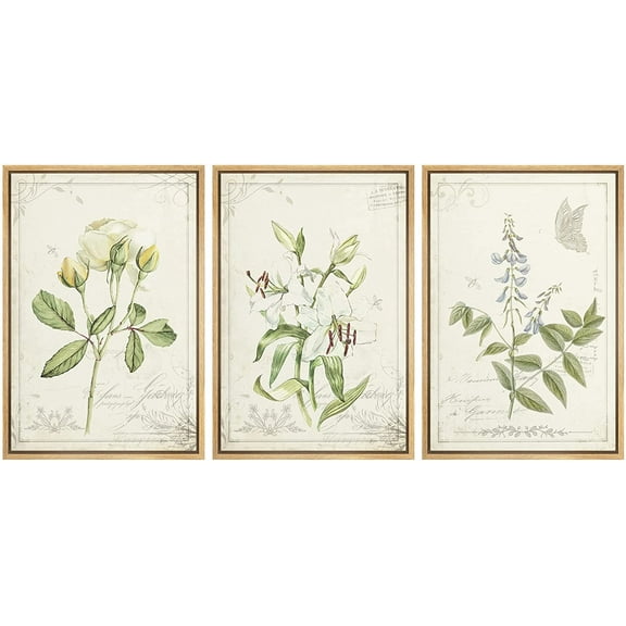 wall26 Framed Canvas Print Wall Art Set Victorian Style White Rose &amp; Lily with Butterfly Nature Floral Illustrations Realism Rustic Wilderness for Living Room, Bedroom, Office - 24"x36"