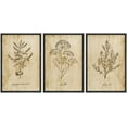 thumbnail image 1 of wall26 Framed Canvas Print Wall Art Set Vintage Retro Plant Herb Seasonings Nature Floral Illustrations Modern Art Rustic Botanical Relax/Calm for Living Room, Bedroom, Office - 24"x36"x3 B, 1 of 5