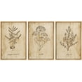 thumbnail image 1 of wall26 Framed Canvas Print Wall Art Set Vintage Retro Plant Herb Seasonings Nature Floral Illustrations Modern Art Rustic Botanical Relax/Calm for Living Room, Bedroom, Office - 24"x36"x3 N, 1 of 5