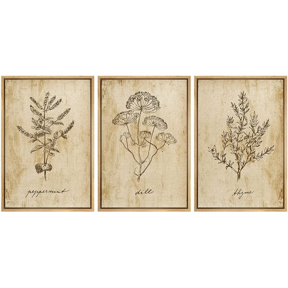 wall26 Framed Canvas Print Wall Art Set Vintage Retro Plant Herb Seasonings Nature Floral Illustrations Modern Art Rustic Botanical Relax/Calm for Living Room, Bedroom, Office - 24"x36"x3 N
