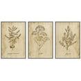 thumbnail image 1 of wall26 Framed Canvas Print Wall Art Set Vintage Retro Plant Herb Seasonings Nature Floral Illustrations Modern Art Rustic Botanical Relax/Calm for Living Room, Bedroom, Office - 16"x24"x3 W, 1 of 5