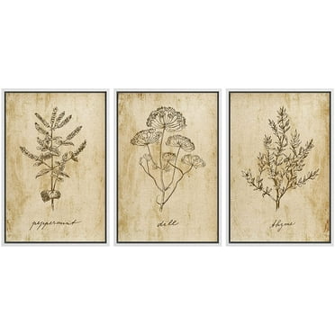 wall26 Framed Canvas Print Wall Art Set Vintage Retro Plant Herb Seasonings Nature Floral Illustrations Modern Art Rustic Botanical Relax/Calm for Living Room, Bedroom, Office - 16&quot;x24&quot;x3 W