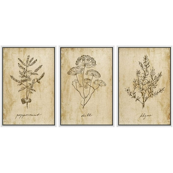 wall26 Framed Canvas Print Wall Art Set Vintage Retro Plant Herb Seasonings Nature Floral Illustrations Modern Art Rustic Botanical Relax/Calm for Living Room, Bedroom, Office - 16"x24"x3 W