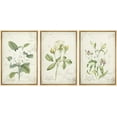 thumbnail image 1 of wall26 Framed Canvas Print Wall Art Set White Rose &amp; Lily Vintage Victorian Flowers Nature Floral Illustrations Realism Rustic Scenic Wilderness for Living Room, Bedroom, Office - 24"x36&quo, 1 of 5
