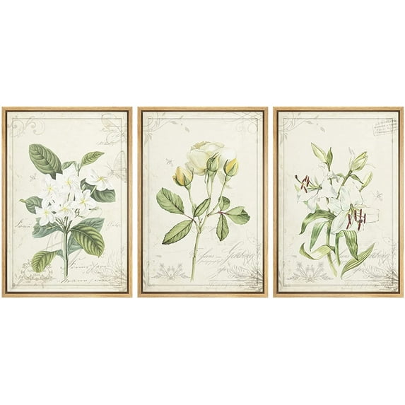 wall26 Framed Canvas Print Wall Art Set White Rose &amp; Lily Vintage Victorian Flowers Nature Floral Illustrations Realism Rustic Scenic Wilderness for Living Room, Bedroom, Office - 24"x36&quo