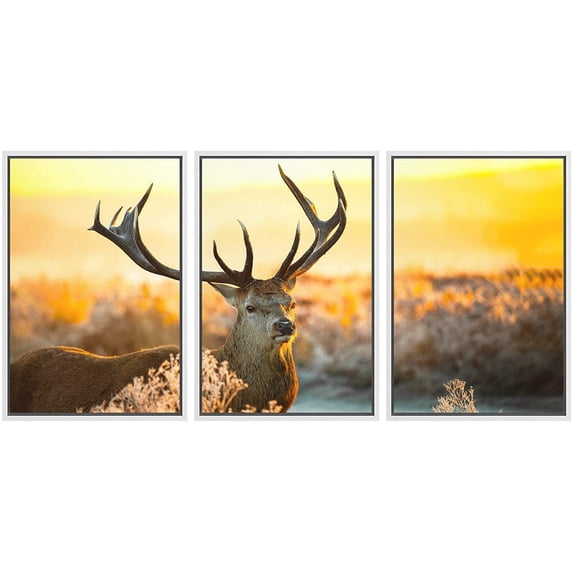 wall26 Framed Canvas Print Wall Art Set Wild Desert Brush Forest Landscape Brown Deer Stag Animals Nature Photography Realism Decorative Colorful for Living Room, Bedroom, Office - 16"x24"x