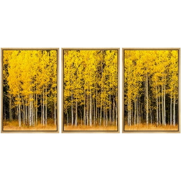 wall26 Framed Canvas Print Wall Art Set Yellow &amp; White Autumn Aspen Tree Forest Nature Wilderness Photography Realism Rustic Scenic Colorful for Living Room, Bedroom, Office - 16&quot;x24&quot;x3