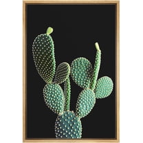 wall26 Framed Canvas Print Wall Art Southwest Desert Bunny Ear Cactus Succulent Nature Wilderness Photography Realism Floral Botanical Multicolor for Living Room, Bedroom, Office - 16"x24"