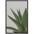 thumbnail image 1 of wall26 Framed Canvas Print Wall Art Southwest Rustic Desert Striped Snake Plant Nature Wilderness Photography Realism Floral Botanical Multicolor for Living Room, Bedroom, Office - 24"x36", 1 of 5