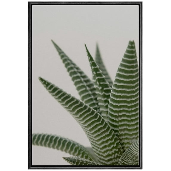 wall26 Framed Canvas Print Wall Art Southwest Rustic Desert Striped Snake Plant Nature Wilderness Photography Realism Floral Botanical Multicolor for Living Room, Bedroom, Office - 24"x36"