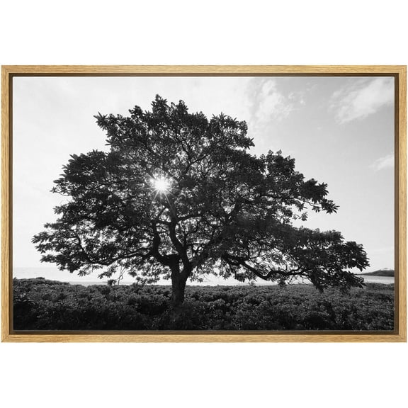 wall26 Framed Canvas Print Wall Art Sunlight Shines Through Large Mountain Tree Floral Nature Photography Realism Expressive Dark Black and White for Living Room, Bedroom, Office - 16"x24"