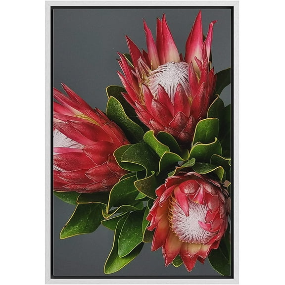 wall26 Framed Canvas Print Wall Art Tropical Bright Red Flowering Cactus Succulent Nature Wilderness Photography Realism Floral Botanical Multicolor for Living Room, Bedroom, Office - 24"x36&quo