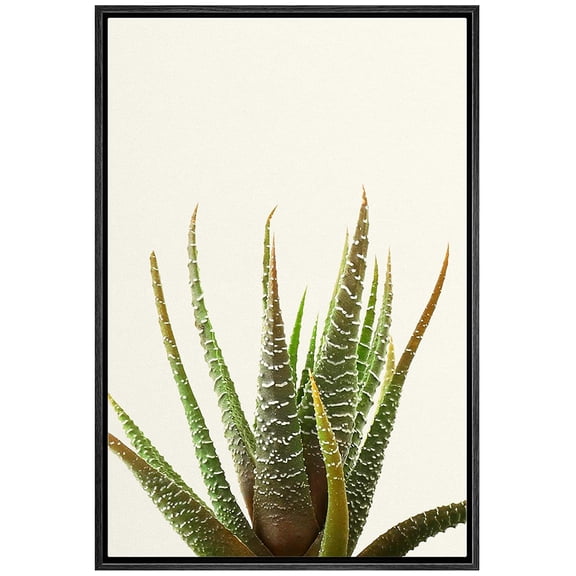 wall26 Framed Canvas Print Wall Art Tropical Desert Southwest Striped Snake Plant Nature Wilderness Photography Realism Floral Botanical Multicolor for Living Room, Bedroom, Office - 16"x24"