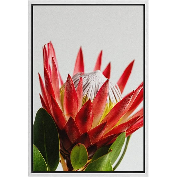 wall26 Framed Canvas Print Wall Art Tropical Neon Red Flowering Cactus Succulent Nature Wilderness Photography Realism Floral Botanical Multicolor for Living Room, Bedroom, Office - 16"x24"