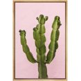 thumbnail image 1 of wall26 Framed Canvas Print Wall Art Vibrant Green Tropical Desert Cactus Succulent Nature Wilderness Photography Realism Floral Botanical Multicolor for Living Room, Bedroom, Office - 16"x24&quo, 1 of 5