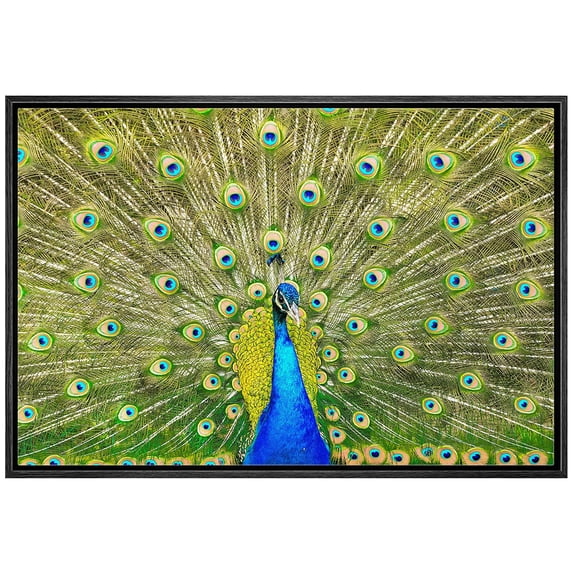 wall26 Framed Canvas Print Wall Art Vibrant Neon Peacock Bird Feather Portrait Nature Animals Photography Realism Rustic Scenic Landscape Colorful for Living Room, Bedroom, Office - 16"x24"