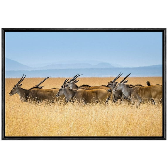 wall26 Framed Canvas Print Wall Art Wild African Safari Jungle Antelope Gazelle Nature Animals Photography Realism Rustic Scenic Landscape Colorful for Living Room, Bedroom, Office - 16"x24"