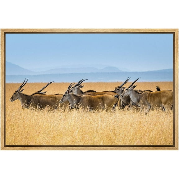 wall26 Framed Canvas Print Wall Art Wild African Safari Jungle Antelope Gazelle Nature Animals Photography Realism Rustic Scenic Landscape Colorful for Living Room, Bedroom, Office - 16"x24&quot