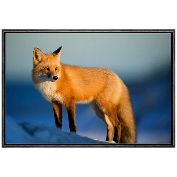 wall26 Framed Canvas Print Wall Art Winter Dawn Sunrise Sunlight Arctic Fox Nature Animals Photography Realism Rustic Scenic Landscape Colorful for Living Room, Bedroom, Office - 16"x24" Bl