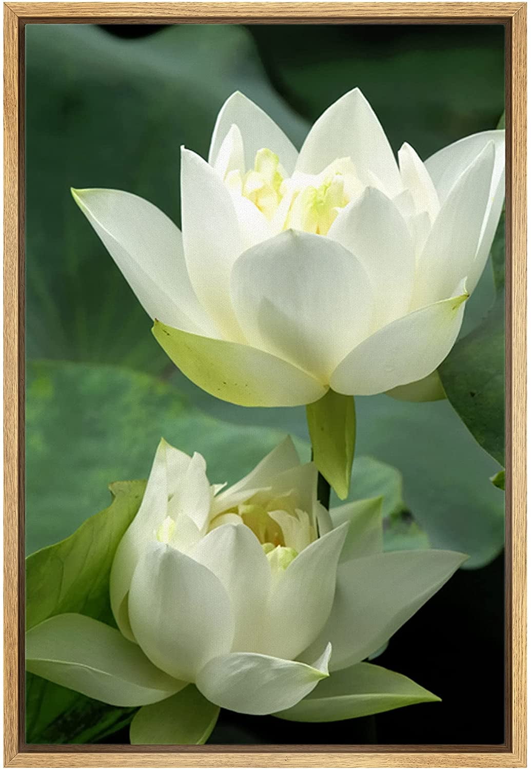 wall26 Framed Canvas Prints Wall Art - White Lotus Flower and Green ...