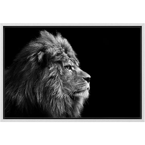 wall26 Framed Canvas Wall Art - A Lion on Balck Background - Giclee Print Gallery Wrap Modern Home Art Ready to Hang - 24"x36" White