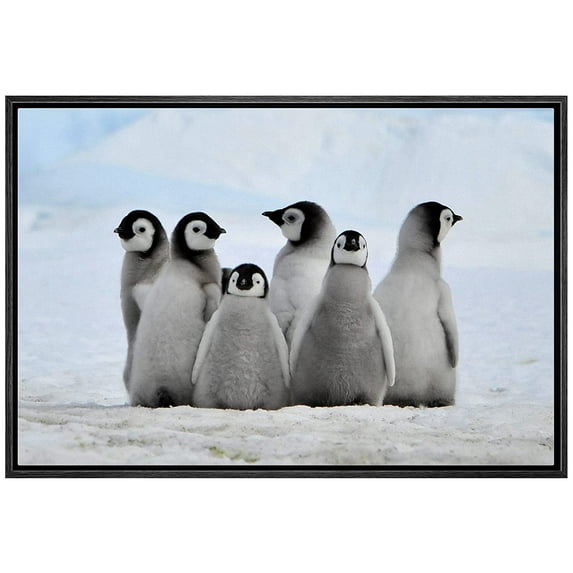 wall26 - Framed Canvas Wall Art - Little Penguins - Giclee Print Gallery Wrap Modern Home Art Ready to Hang - 16"x24" Black