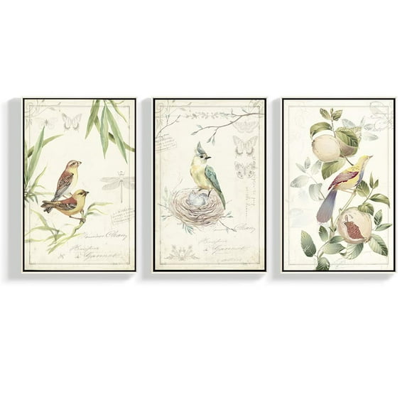 wall26 Framed Canvas Wall Art for Living Room, Bedroom Bird Illustration III Canvas Prints for Home Decoration Ready to Hang - 24"x36"x3 Panels