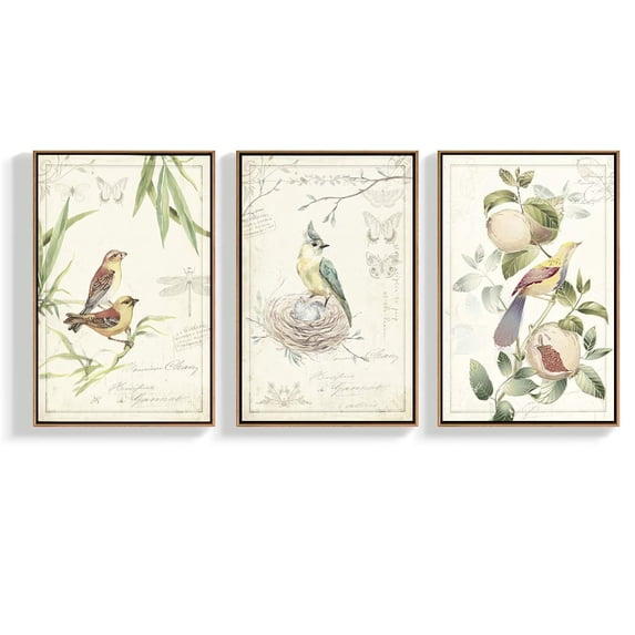 wall26 Framed Canvas Wall Art for Living Room, Bedroom Bird Illustration IV Canvas Prints for Home Decoration Ready to Hang - 16"x24"x3 Panels
