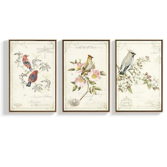 wall26 Framed Canvas Wall Art for Living Room, Bedroom Bird Illustration VI Canvas Prints for Home Decoration Ready to Hang - 24"x36"x3 Panels