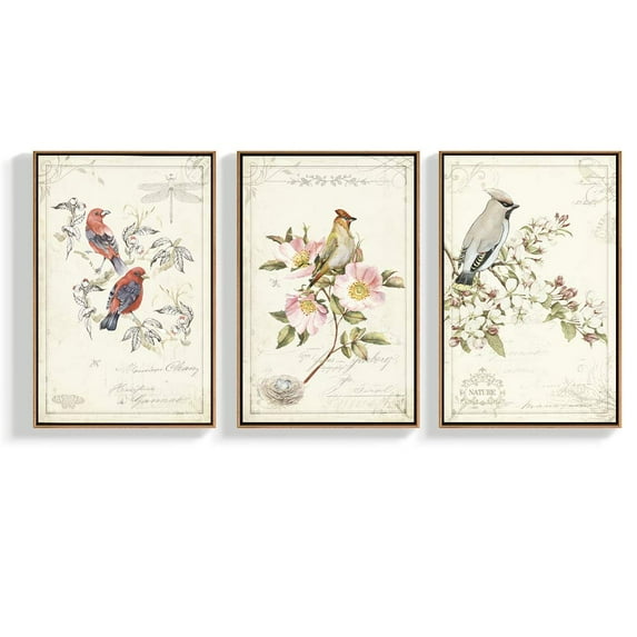 wall26 Framed Canvas Wall Art for Living Room, Bedroom Bird Illustration VI Canvas Prints for Home Decoration Ready to Hang - 24"x36"x3 Panels
