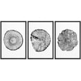 thumbnail image 1 of wall26 Framed Wall Art Print Set Black and White Wood Grain Tings Nature Wilderness Digital Art Modern Art Rustic Scenic Colorful for Living Room, Bedroom, Office - 16"x24"x3 Black, 1 of 5