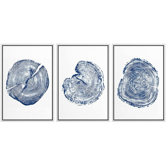 wall26 Framed Wall Art Print Set Blue and White Wood Grain Rings Nature Wilderness Digital Art Modern Art Rustic Scenic Colorful for Living Room, Bedroom, Office - 24"x36"x3 White