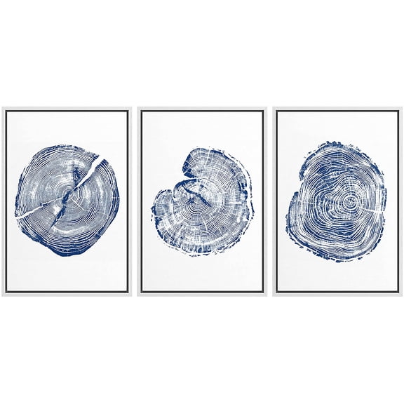 wall26 Framed Wall Art Print Set Blue and White Wood Grain Rings Nature Wilderness Digital Art Modern Art Rustic Scenic Colorful for Living Room, Bedroom, Office - 16"x24"x3 White