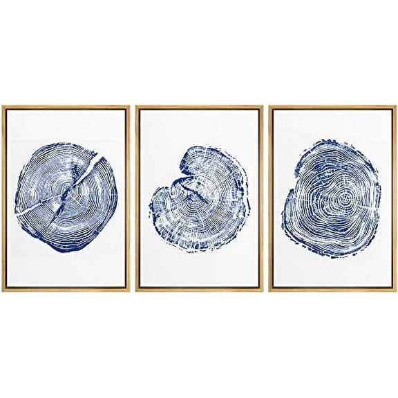 wall26 Framed Wall Art Print Set Blue and White Wood Grain Rings Nature Wilderness Digital Art Modern Art Rustic Scenic Colorful for Living Room, Bedroom, Office - 16"x24"x3 Natural