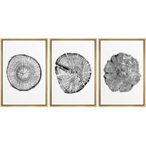 wall26 Framed Wall Art Print Set Boho Black and White Wood Grain Tings Nature Wilderness Digital Art Modern Art Rustic Scenic Colorful for Living Room, Bedroom, Office - 24"x36"x3 Natural