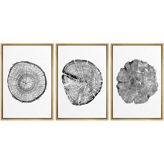 wall26 Framed Wall Art Print Set Boho Black and White Wood Grain Tings Nature Wilderness Digital Art Modern Art Rustic Scenic Colorful for Living Room, Bedroom, Office - 24"x36"x3 Natural